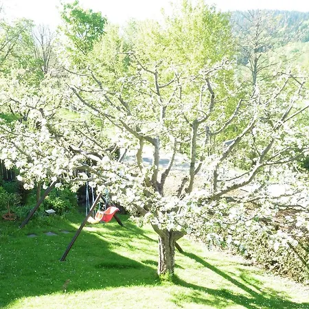 Hartl Sankt Englmar